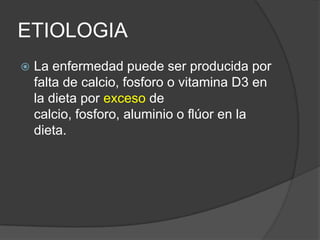 ETIOLOGIA
   La enfermedad puede ser producida por
    falta de calcio, fosforo o vitamina D3 en
    la dieta por exceso de
    calcio, fosforo, aluminio o flúor en la
    dieta.
 