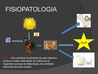 FISIOPATOLOGIA


                              3



                                                   Ca:P




NOTA: Una cantidad insuficiente de esta vitamina
produce niveles deficientes de Calcio en el
organismo aunque la dieta tenga una cantidad
adecuada de este mineral.
 