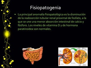 Fisiopatogenia
• La principal anomalía fisiopatológica es la disminución
de la reabsorción tubular renal proximal de fosfato, a la
que se une una menor absorción intestinal de calcio y
fósforo. Los niveles de vitamina D y de hormona
paratiroidea son normales.
 