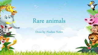 Rare animals
Done by :Nadien Nafez
 
