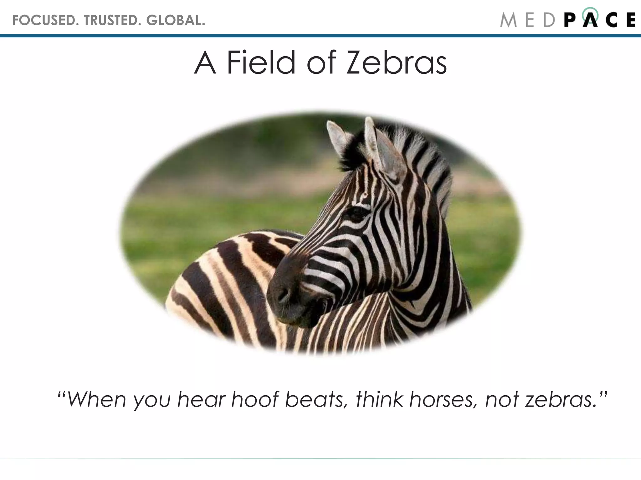 FOCUSED. TRUSTED. GLOBAL.
A Field of Zebras
“When you hear hoof beats, think horses, not zebras.”
 