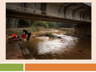 PricesSome elements’ prices increased tenfold in the last year