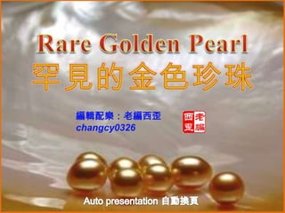 Rare Golden Pearl 罕見的金色珍珠 編輯配樂：老編西歪 changcy0326 Auto presentation 自動換頁 