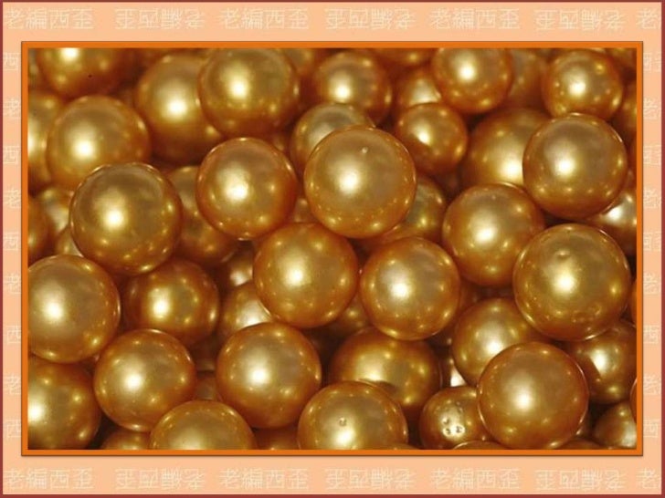 Rare golden pearl (罕見的金色珍珠)