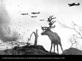 A shell shocked reindeer looks on as World War II planes drop bombs on Russia in 1941
 