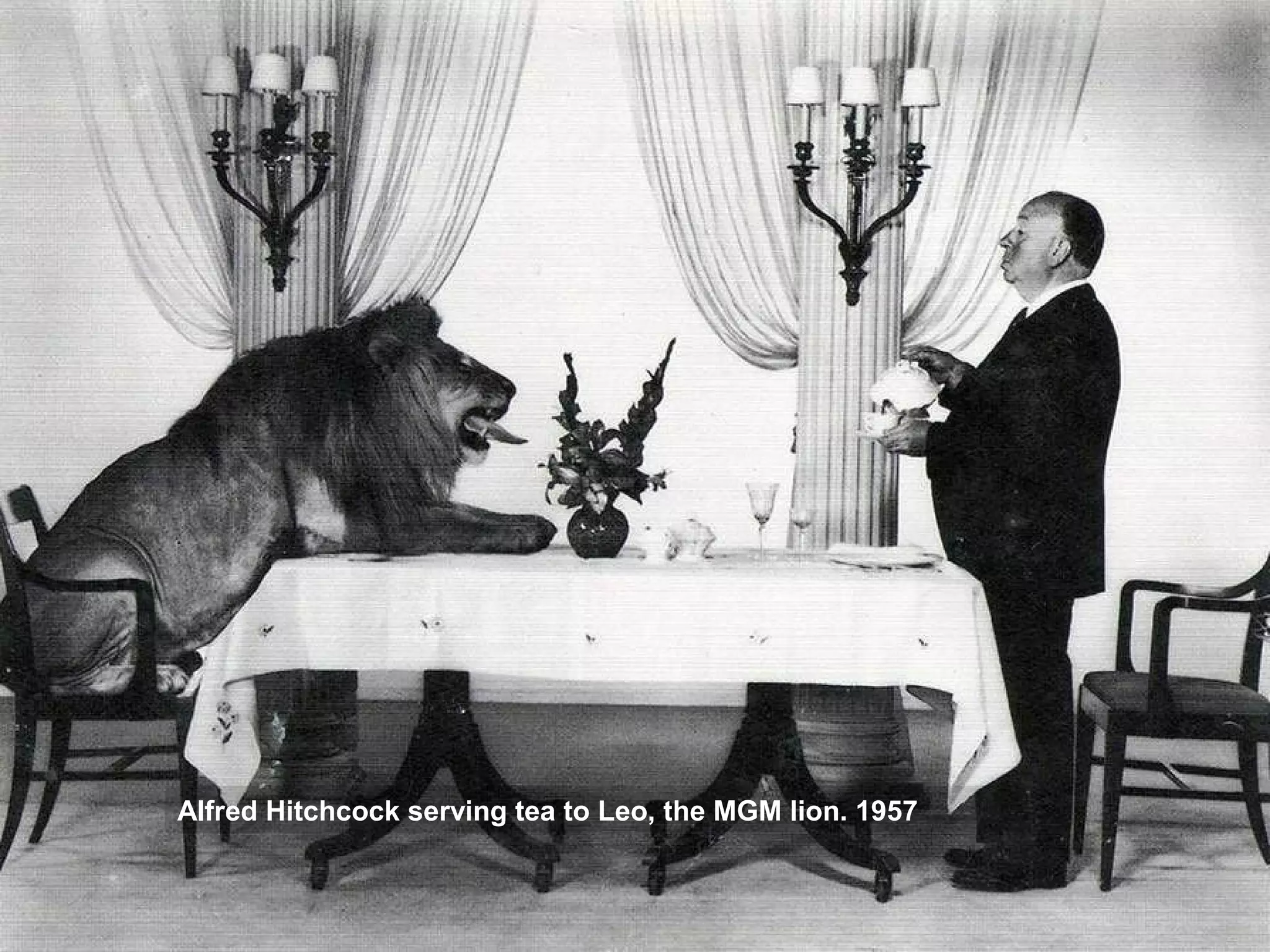 Alfred Hitchcock serving tea to Leo, the MGM lion. 1957
 