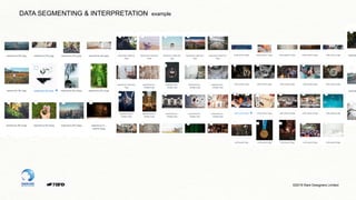 ©2019 Rare Designers Limited
DATA SEGMENTING & INTERPRETATION example
 