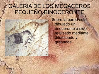 GALERIA DE LOS MEGACEROS
   PEQUEÑO RINOCERONTE
             Sobre la pared esta
              dibujado un
              rinoceronte a sido
              realizado mediante
              difuminado y
              grabados




RARES
 