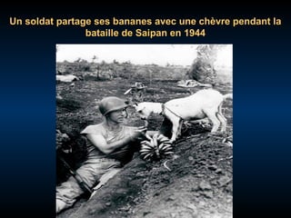 Un soldat partage ses bananes avec une chèvre pendant la
bataille de Saipan en 1944

 