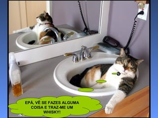 EPÁ, VÊ SE FAZES ALGUMA
COISA E TRAZ-ME UM
WHISKY!

 