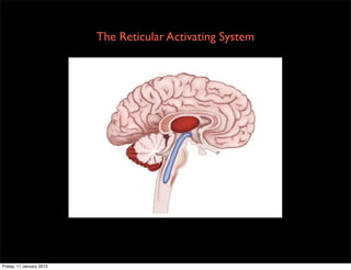 The Reticular Activating System




Friday, 11 January 2013
 