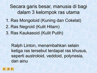 Differensiasi Ras | PPT