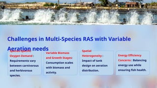 Aeration Ras Load Balancing Strategies in Multi-Species RAS Systems with Variable ...