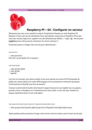Raspberry Pi