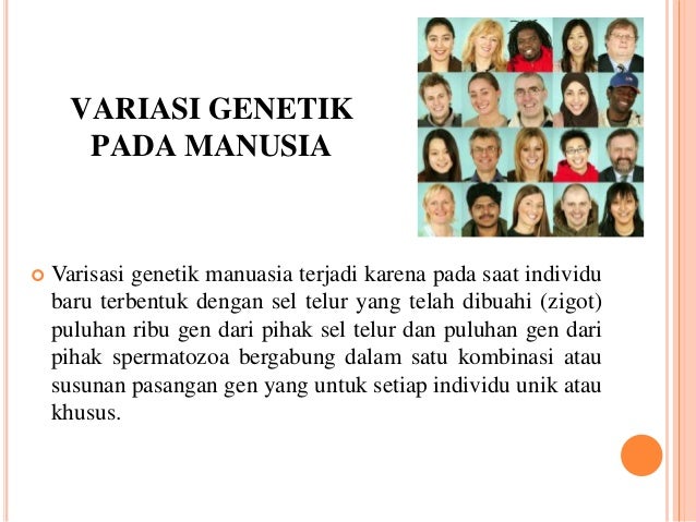 Ras ras dan spesies manusia