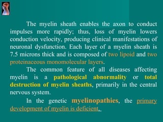 The myelin sheath enables the axon to conduct impulses   more rapidly; thus, loss of myelin lowers conduction velocity, producing clinical manifestations of neuronal dysfunction. Each layer of a myelin sheath is 7.5 microns thick and is composed of  two lipoid  and  two proteinaceous monomolecular layers .  The common feature of all diseases affecting myelin is a  pathological abnormality   or  total destruction of myelin sheaths , primarily in the central nervous system. In the genetic  myelinopathies , the  primary development of myelin is deficient .   