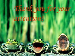Thank you for your attention ! 
