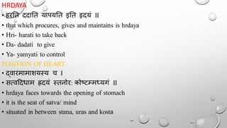 HRDAYA
• हरतत ददातत यापयतत इतत हृदयं II
• that which procures, gives and maintains is hrdaya
• Hri- harati to take back
• Da- dadati to give
• Ya- yamyati to control
POSITION OF HEART
• द्वारमामाशयस्य च I
• सत्वददधाम ह्रदयं स्तनोर: कोष्टम्मर्धयगं II
• hrdaya faces towards the opening of stomach
• it is the seat of satva/ mind
• situated in between stana, uras and kosta
 