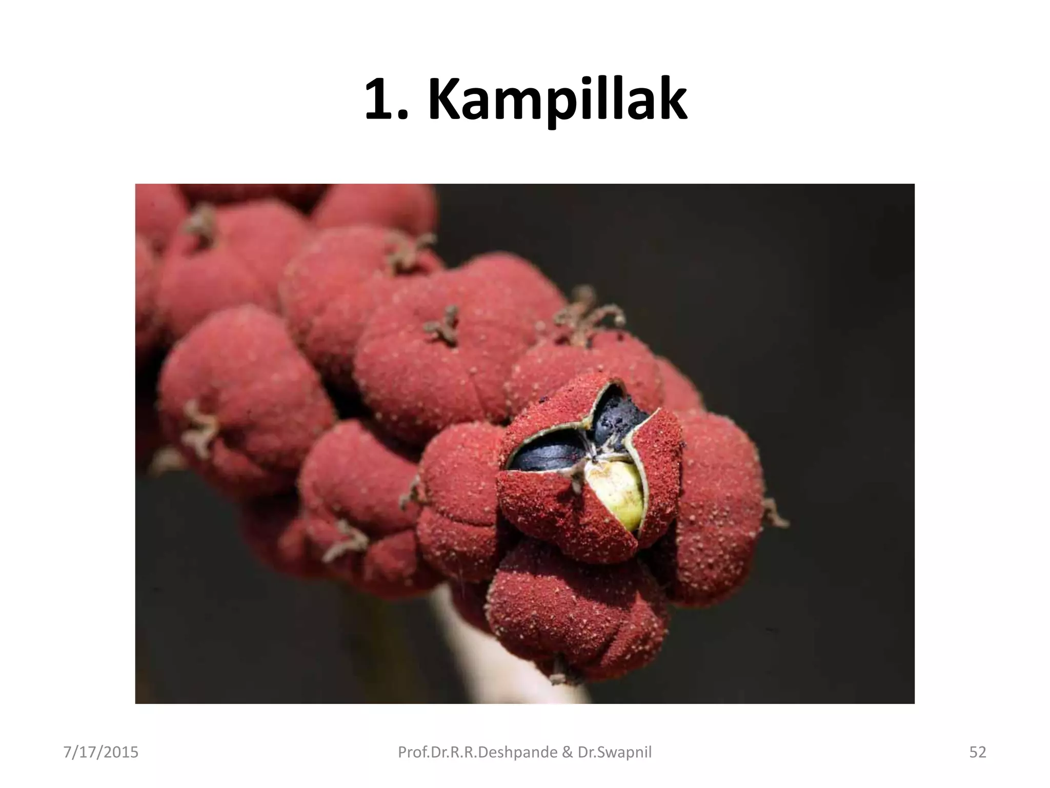1. Kampillak
7/17/2015 52Prof.Dr.R.R.Deshpande & Dr.Swapnil
 
