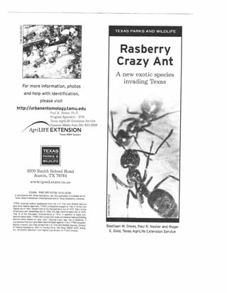 Rasberry Crazy Ants Brochure