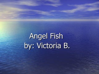 Angel Fish by: Victoria B. 