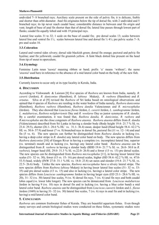 Mathews Plamoottil
International Journal of Innovative Studies in Aquatic Biology and Fisheries (IJISABF) Page 23
undivided 7- 8 branched rays; Auxiliary scale present on the side of pelvic fin; it is delicate, feeble
and shorter than orbit diameter. Anal fin originates below the tip of dorsal fin; with 2 undivided and 5
branched rays; its tip never reach caudal base; considerable distance in between anal fin origin and
vent; length of base of anal fin shorter than that of dorsal fin; lateral line passes through lowest part of
flanks; caudal fin equally lobed and with 19 principal rays.
Lateral line scales 31 to 32; 1 scale on the base of caudal fin; pre dorsal scales 13; scales between
lateral line and ventral fin 1½; scales between lateral line and dorsal fin ½ 4½; pre pelvic scales 7- 8;
pre anal scales 16.
3.3.Coloration
Lateral and ventral sides silvery; dorsal side blackish green; dorsal fin orange; pectoral and pelvic fin
hyaline; anal fin yellowish; caudal fin greenish yellow. A faint black dotted line present on the head
from tip of snout to operculum;
3.4.Etymology
Feminine Latin noun 'taenia' meaning ribbon or band; prefix ‘a’ means ‘without’; the name
'ataenia' used here in reference to the absence of a mid lateral color band on the body of the new fish.
3.5.Distribution
Currently known to occur only at its type locality in Kerala, India.
4. DISCUSSION
According to Vishwanath & Laisram [8] five species of Rasbora are known from India, namely, R.
caverii (Jerdon), R. daniconius (Hamilton), R. labiosa Mukerji, R. rasbora (Hamilton) and R.
ornatus. Silva et al [9] revised the Rasbora of Sri lanka based on osteological observations and
opined that 4 species of Rasbora are residing in the water bodies of India namely, Rasbora daniconius
(Hamilton), Rasbora rasbora (Hamilton), Rasbora dandia Valenciennes and R. microcephalus
(Jerdon). They also showed that Leuciscus flavus Jerdon, L. caverii Jerdon, L. xanthogramme Jerdon,
L. malabaricus, Rasbora neilgherriensis Day and R. woolaree Day as junior synonyms of R. dandia.
By a careful examination, it was found that, Rasbora dandia, R. daniconius, R. rasbora and
R.microcephalus are the close congeners of Rasbora ataenia. Rasbora ataenia differs from R. dandia
(Valenciennes) described from Sri Lanka in having a slender body (Body height 19.4- 21.7 % SL vs.
23.4- 29.5), shorter (26.1- 28.6 % HL` vs. 31.1- 36.4) snout, deeper head (Head height 58.4- 62.2 %
HL vs. 50.6- 57.9) and lesser (7 vs. 8) branched rays in dorsal fin, pectoral fin (11 vs. 12- 14) and anal
fin (5 vs. 6). The new species can further be distinguished from Rasbora dandia in lacking (vs.
having a deep color stripe in R. dandia) any lateral color band on body. The new species differs from
Rasbora daniconius [10] of Ganges River in having a complete (vs. incomplete) lateral line, superior
(vs. terminal) mouth and in lacking (vs. having) any lateral color band. Rasbora ataenia can be
distinguished from R. rasbora in having a slender body (BDD 19.4- 21.7 % SL vs. 26.0- 30.0 in R.
rasbora), longer head (HL 29.0- 31.3 % SL vs.22.0- 26.0) and a fewer (13 vs. 15) pre dorsal scales.
The new species can be distinguished from Rasbora microcephalus [11], in having lesser lateral line
scales (31- 32 vs. 30), fewer (13 vs. 15- 16) pre dorsal scales, higher (HD 58.4- 62.2 % HL vs. 47.0-
53.5) head, widely (INW 27.0- 31.1 % HL vs. 18.0- 23.8) set nares and slender (19.4- 21.7 % SL vs.
22.5- 26.6) body. Unlike the new species, Rasbora microcephalus have a silvery lateral stripe. The
new species differs from Rasbora labiosa Mukerji in having lesser lateral line scales (31- 32 vs. 33-
35) and pre dorsal scales (13 vs. 15) and also in lacking (vs. having) a lateral color stripe. The new
species differs from Leuciscus xanthogramme Jerdon in having larger eyes (ED 23.1- 28.6 % HL vs.
20), 31- 32 (vs. 30) lateral line scales, 9 (vs. 8) dorsal fin rays, 7 (vs. 6) anal fin rays and both caudal
lobes equal (vs. lower lobe longer). The new species can be demarcated from Leuciscus malabaricus
Jerdon in having 9 (vs. 10) rays in dorsal fin and in lacking (vs. having a blue color band) a mid
lateral color band. Rasbora ataenia can be distinguished from Leuciscus cauverii Jerdon and L. flavus
Jerdon (1849) in having 31- 32 (vs. 30) lateral line scales, 7 (vs. 6) rays in anal fin and in lacking (vs.
having) a mid lateral color band.
5. CONCLUSION
Rasboras are common freshwater fishes of Kerala. They are beautiful aquarium fishes. Even though
many surveys and certain biological studies were conducted on these fishes, systematic studies were
 