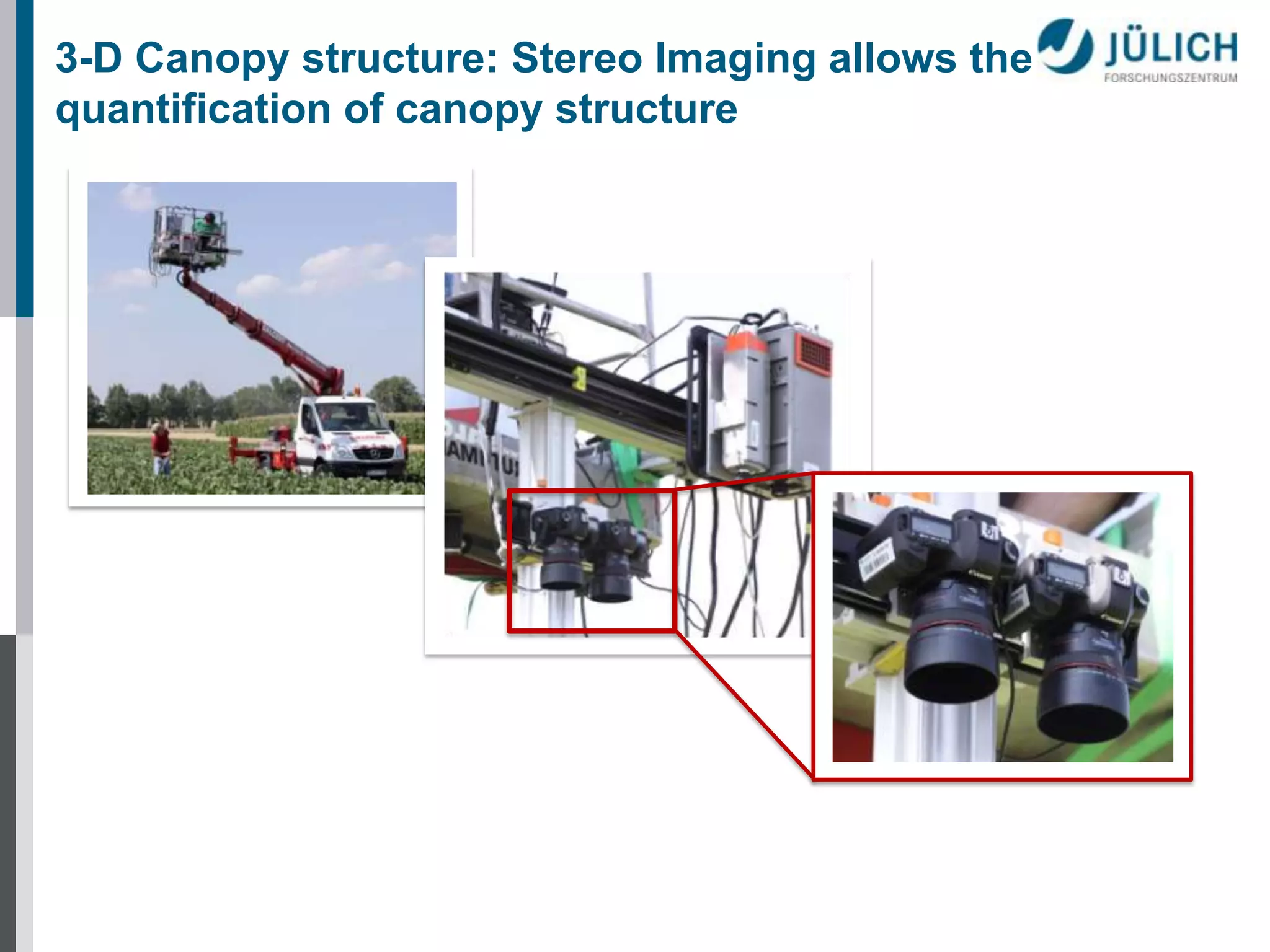3-D Canopy structure: Stereo Imaging allows the
quantification of canopy structure

 