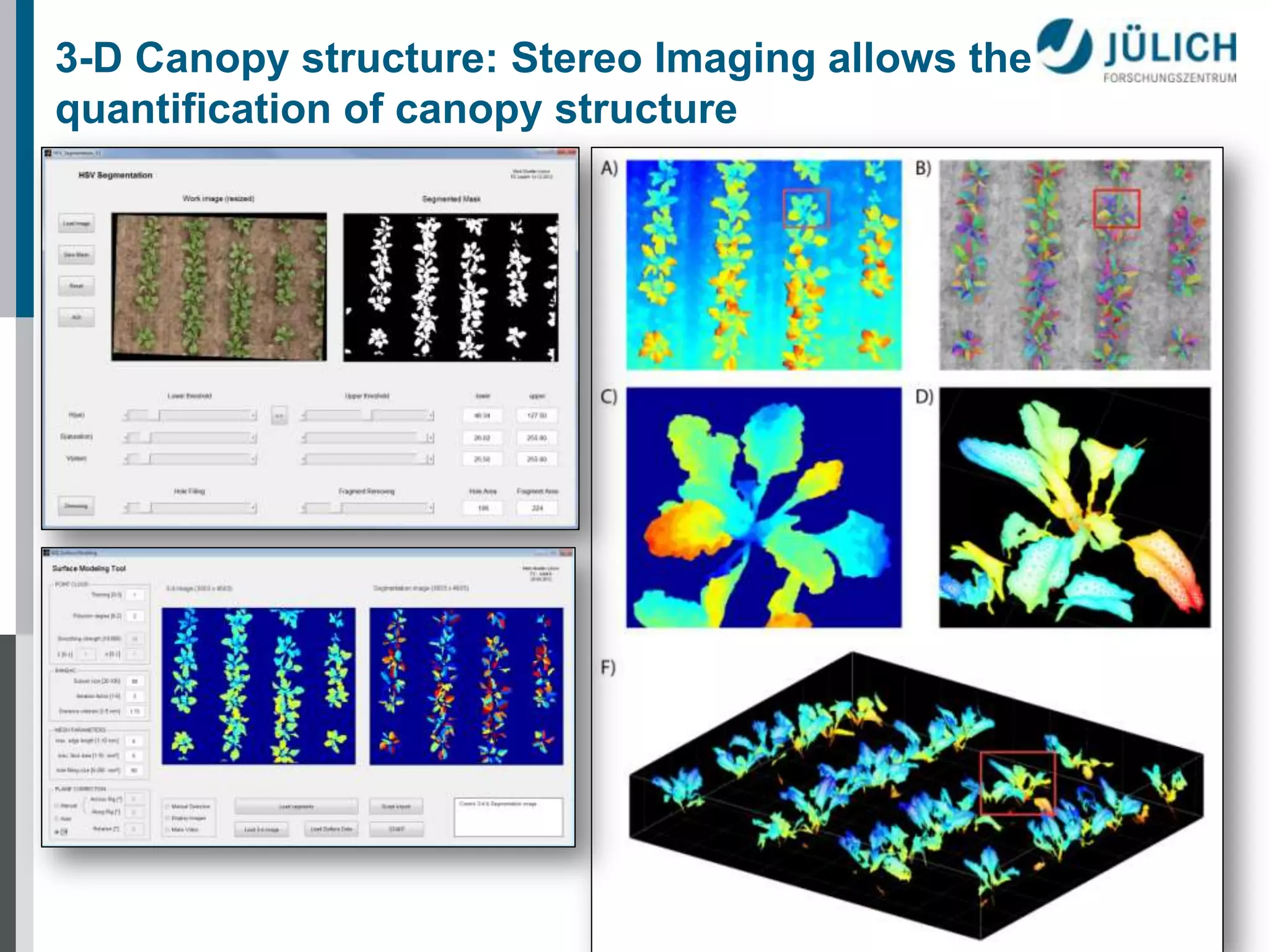 3-D Canopy structure: Stereo Imaging allows the
quantification of canopy structure

 