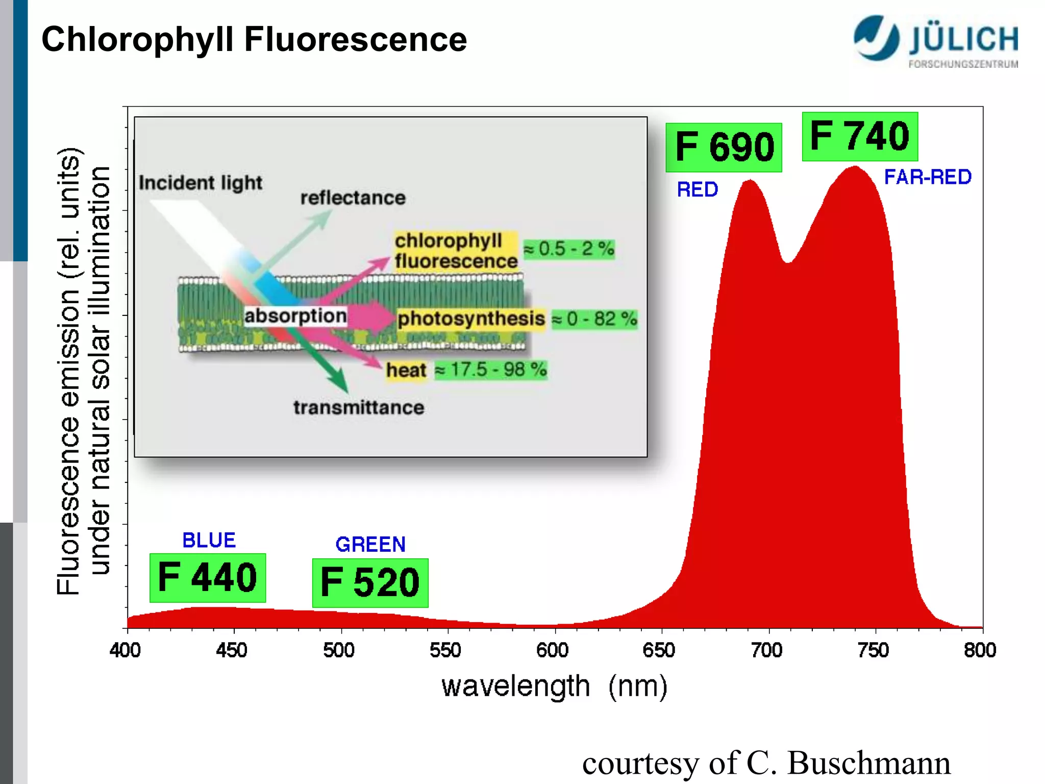 Chlorophyll Fluorescence

courtesy of C. Buschmann

 