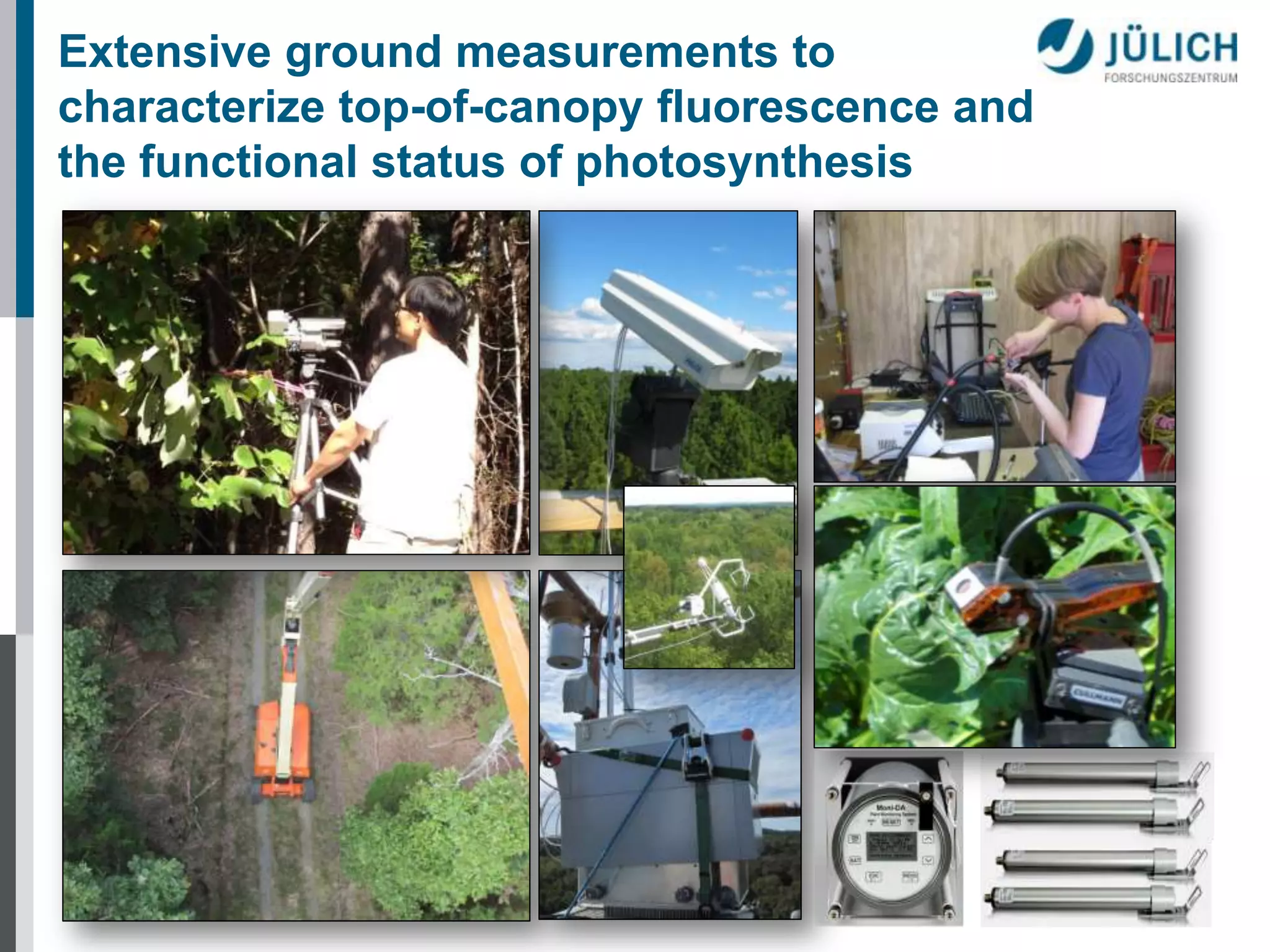 Extensive ground measurements to
characterize top-of-canopy fluorescence and
the functional status of photosynthesis

 