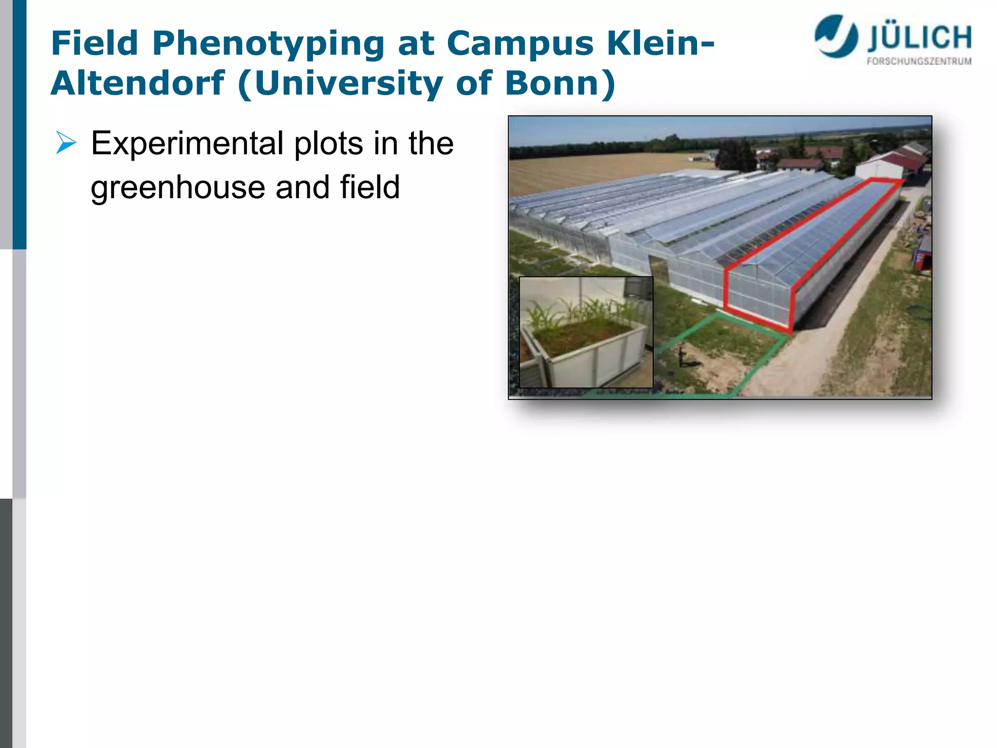 Field Phenotyping at Campus KleinAltendorf (University of Bonn)
 Experimental plots in the
greenhouse and field

 