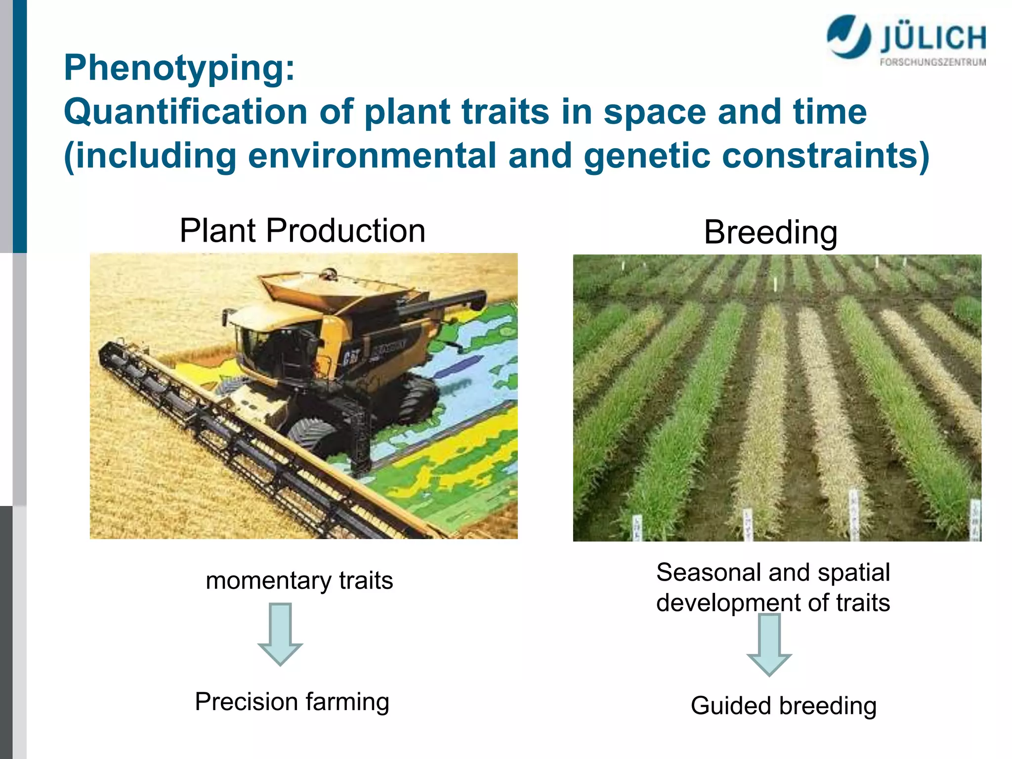 Phenotyping:
Quantification of plant traits in space and time
(including environmental and genetic constraints)
Plant Production

Breeding

momentary traits

Seasonal and spatial
development of traits

Precision farming

Guided breeding

 