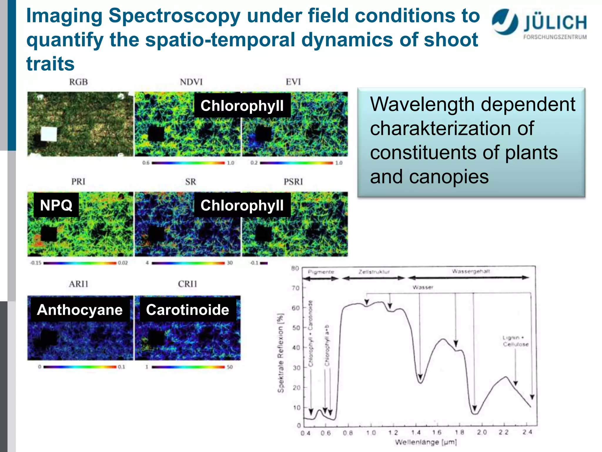 Imaging Spectroscopy under field conditions to
quantify the spatio-temporal dynamics of shoot
traits
Chlorophyll

NPQ

Anthocyane

Chlorophyll

Carotinoide

Wavelength dependent
charakterization of
constituents of plants
and canopies

 