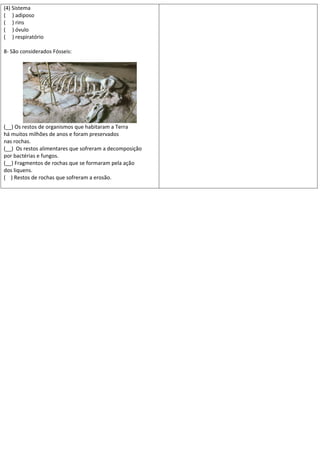 (4) Sistema
( ) adiposo
( ) rins
( ) óvulo
( ) respiratório

8- São considerados Fósseis:




(__) Os restos de organismos que habitaram a Terra
há muitos milhões de anos e foram preservados
nas rochas.
(__) Os restos alimentares que sofreram a decomposição
por bactérias e fungos.
(__) Fragmentos de rochas que se formaram pela ação
dos liquens.
( ) Restos de rochas que sofreram a erosão.
 