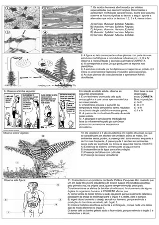 7. Os tecidos humanos são formados por células
                                                       especializadas que exercem funções diferenciadas e
                                                       apresentam morfologias características. Sobre este assunto,
                                                       observe as fotomicrografias ao lado e, a seguir, aponte a
                                                       alternativa que indica os tecidos 1, 2, 3 e 4, nessa ordem.

                                                       A) Nervoso; Muscular; Epitelial; Adiposo.
                                                       B) Muscular; Nervoso; Epitelial; Adiposo.
                                                       C) Adiposo; Muscular; Nervoso; Epitelial.
                                                       D) Muscular; Epitelial; Nervoso; Adiposo.
                                                       E) Nervoso; Muscular; Adiposo; Epitelial.




                                              8. A figura ao lado corresponde a duas plantas com parte de suas
                                              estruturas morfológicas e reprodutivas indicadas por I, II, III e IV.
                                              Observe a representação e assinale a afirmativa CORRETA:
                                              a) III corresponde a soros 2n que produzem os esporos nas
                                              pteridófitas.
                                              b) A estrutura indicada por I é diplóide e corresponde ao prótalo.c) II
                                              indica os anterozóides haplóides produzidos pelo esporângio.
                                              d) As duas plantas são vascularizadas e apresentam folhas
                                              clorofiladas.




 9. Observe a tirinha seguinte:             Em relação ao efeito estufa, observe as              Com base na sua
                                            seguintes proposições:                               observação,
                                            I. É um fenômeno provocado pela ação                 estão CORRETA
                                            antropogênica e que causa apenas malefícios          S as proposições
                                            ao nosso planeta.                                    a) I e II
                                            II. O fenômeno provoca o aumento da                  b) III e IV
                                            temperatura média atmosférica como resultado         c) I e III
                                            do acúmulo de gás carbônico e outros gases.          d) II e IV
                                            III. A queima de combustíveis fósseis não emite
                                            gases estufa.
                                            IV. A absorção e consequente irradiação na
                                            faixa do infravermelho pelo gás carbônico
                                            provoca um aumento na temperatura
                                            atmosférica.
Calvin e Haroldo 4/9/2008

Observe estes vegetais:                       10. Os vegetais I e II são abundantes em regiões chuvosas ou que
                                              se caracterizam por alto teor de umidade, como as matas. Em
                                              ambientes secos, porém, a presença de I torna-se rara, enquanto a
                                              de II é mais freqüente. A presença de II também em ambientes
                                              secos pode ser explicada por todos os seguintes fatores, EXCETO
                                              A) Existência de sistema de transporte de água e seiva
                                              B) Independência da água para a fecundação
                                              C) Presença de folhas com cutículas
                                              D) Presença de raízes verdadeiras




 Observe esta figura:             11. O alcoolismo é um problema de Saúde Pública. Pesquisas têm revelado que
                                  um em cada três jovens estudantes do Ensino Básico prova bebida alcoólica,
                                  pela primeira vez, na própria casa, quase sempre oferecida pelos pais.
                                  Considerando-se os efeitos de bebidas alcoólicas no funcionamento de alguns
                                  órgãos do organismo humano, é CORRETO afirmar que
                                  A) comer antes de beber diminui a ação do álcool, porque o alimento retarda a
                                  passagem da droga do estômago para o órgão 4 e, deste, para o sangue.
                                  B) ingerir álcool aumenta o desejo sexual nos homens, porque estimula a
                                  produção do hormônio secretado pelo órgão 1.
                                  C) misturar bebidas alcoólicas aumenta a embriaguez, porque cada uma delas
                                  age de modo diferente no órgão 5.
                                  D) tomar café ou banho gelado ajuda a ficar sóbrio, porque estimula o órgão 3 a
                                  metabolizar o álcool.
 
