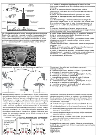 12. A ilustração representa uma pirâmide de energia de uma
                                                                         determinada cadeia alimentar. Em relação a essa pirâmide, pode-se
                                                                         afirmar que
                                                                         A) o fluxo de energia se desloca dos produtores para os
                                                                         consumidores, retornando para os produtores devido à ação dos
                                                                         decompositores.
                                                                         B) o nível dos consumidores terciários apresenta uma maior
                                                                         quantidade de energia acumulada, se comparado aos níveis
                                                                         inferiores.
                                                                         C) os fluxos de energia e matéria viabilizam a manutenção do
                                                                         metabolismo celular através de sua ação cíclica nos sistemas vivos.
                                                                         D) os produtores fazem parte do único elo indispensável para a
                                                                         manutenção do equilíbrio de uma cadeia alimentar, ao longo do
                                                                         tempo.
                                                                         E) variações significativas no tamanho populacional dos
                                                                         consumidores primários devem provocar alterações nas populações
                                                                         de todos os outros níveis tróficos representados.
     13. A vida está presente em muitos ambientes da Terra, formando a   a) O fator água é essencial apenas para os organismos terrestres
     Biosfera. Na maioria das vezes são condições necessárias e ideais   devido ao problema da desidratação, já que os organismos
     para a sobrevivência da vida a luz, a água e temperatura acima      aquáticos vivem cercados por água.
     do ponto de congelamento. Esses elementos constituem os fatores     b) O fator luz é importante tanto para a vida terrestre quanto para a
     abióticos que condicionam a composição em espécies dos biomas,      vida aquática, não sendo considerado fator limitante para os
     tipos de ecossistemas. Sobre esses elementos é correto afirmar:     organismos terrestres.
                                                                         c) O fator temperatura afeta o metabolismo apenas se atingir níveis
                                                                         inferiores a 0° C.
                                                                         d) O fator temperatura e o fator luz afetam o metabolismo apenas
                                                                         acima de 45° C, já que desnaturam as proteínas.
                                                                         e) O fator luz é importante tanto para a vida terrestre quanto para a
                                                                         vida aquática, pois é obrigatório, por exemplo, para a realização de
                                                                         fotossíntese, não sendo, normalmente, fator limitante para
                                                                         as plantas terrestres, e sim o CO2.




     Observe o ciclo reprodutivo de uma Gimnosperma, o pinheiro.         14. Assinale a alternativa que completa corretamente o
                                                                         ciclo esquematizado.
                                                                         a) 1- estróbilo masculino e feminino, 2- óvulo, 3- grão de pólen,
                                                                         4- fecundação, 5- semente, 6- germinação.
                                                                         b) 1- estróbilo masculino e feminino, 2- grão de pólen, 3- pinha,
                                                                         4- germinação, 5- semente, 6- gametófitos.
                                                                         c) 1- gametófitos masculino e feminino, 2- óvulo, 3- grão de
                                                                         pólen, 4- fecundação, 5- semente, 6- esporófito.
                                                                         d) 1- estróbilo masculino e feminino, 2- grão de pólen, 3- óvulo,
                                                                         4- fecundação, 5- semente, 6- germinação.
                                                                         e) 1- estróbilo masculino e feminino, 2- óvulo, 3- grão de pólen,
                                                                         4- fecundação, 5- germinação, 6- semente.




15




                                                                         16. Observe a figura a seguir.

                                                                         A culpa atribuída aos animais (quadro 1) deve-se, principalmente,
                                                                         ao fato de que esses animais eliminam quantidades expressivas de
                                                                         (a) cloreto de sódio.
                                                                         (b) gás sulfídrico.
                                                                         (c) ácido úrico.
                                                                         (d) gás metano.
 
