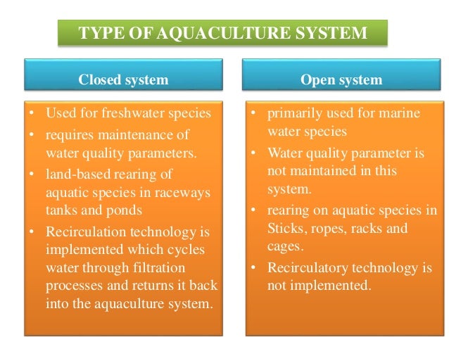 Recirculatory Aquaculture System