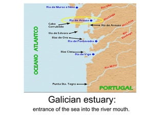 Galician estuary: entrance of the sea into the river mouth.  