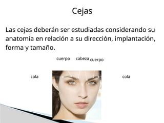 RASGOS Y CARACTERISTICAS DEL ROSTRO HUMANO | PPTX