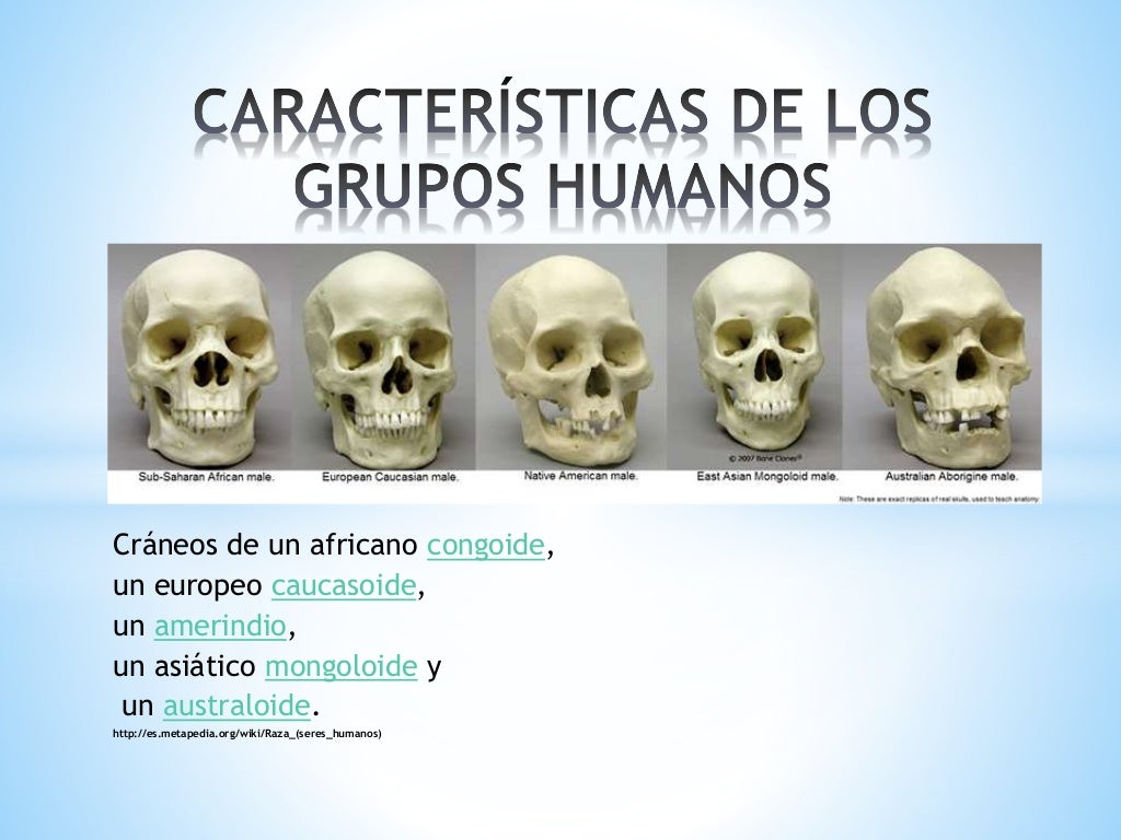 Rasgos físicos de los grupos humanos