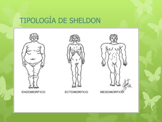 TIPOLOGÍA DE SHELDON
 