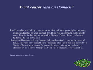 What causes  rash on stomach ? Just like rashes and itching occur on hands, feet and back, you might experience itching and rashes on your stomach too. Itchy rash on stomach can be due to some disorder in the body or some skin diseases. Due to the red rashes the texture and color of the skin changes and becomes red, dry, bumpy, itchy and cracked. It can be the result of fungal infection or you might have consumed a food item that did not suit you. Some of the common causes for you suffering from itchy and red rash on stomach are as follows. Allergy can be one of the reasons for itchy rashes. Www.rashonstomach.net   