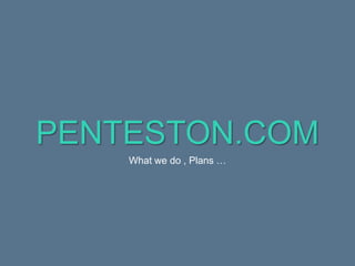 PENTESTON.COM
What we do , Plans …
 