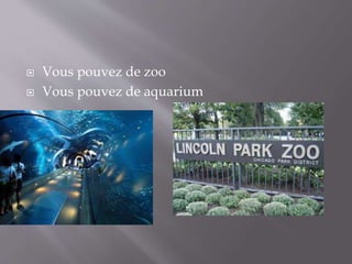 Vous pouvez de zoo
Vous pouvez de aquarium
