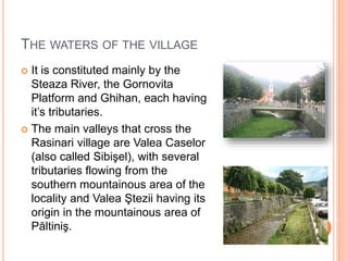 THE WATERS OF THE VILLAGE
 It is constituted mainly by the
Steaza River, the Gornovita
Platform and Ghihan, each having
it’s tributaries.
 The main valleys that cross the
Rasinari village are Valea Caselor
(also called Sibişel), with several
tributaries flowing from the
southern mountainous area of the
locality and Valea Ştezii having its
origin in the mountainous area of
Păltiniş.
 