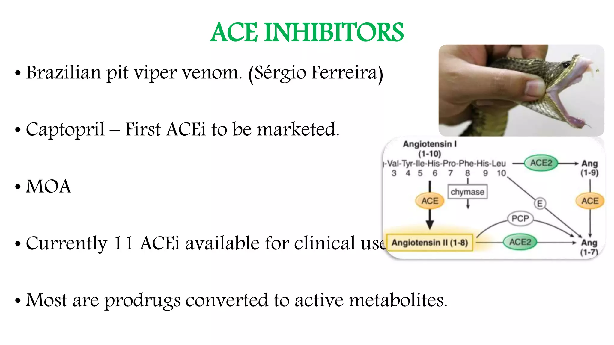 Renin Angiotensin Aldosterone System and its applications | PPTX
