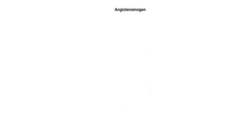Renin Angiotensin Aldosterone System and its applications | PPTX