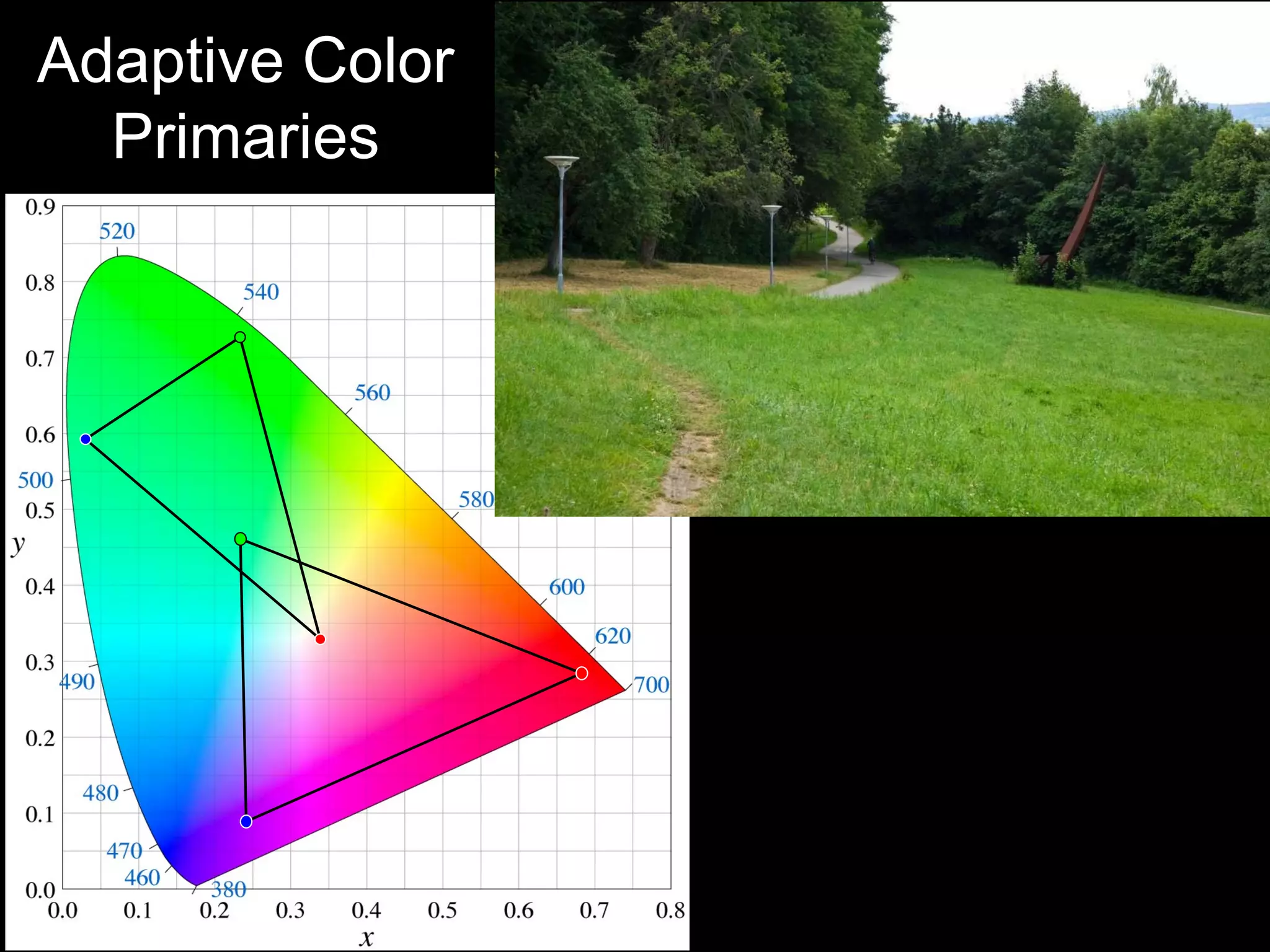 Adaptive Color Primaries 