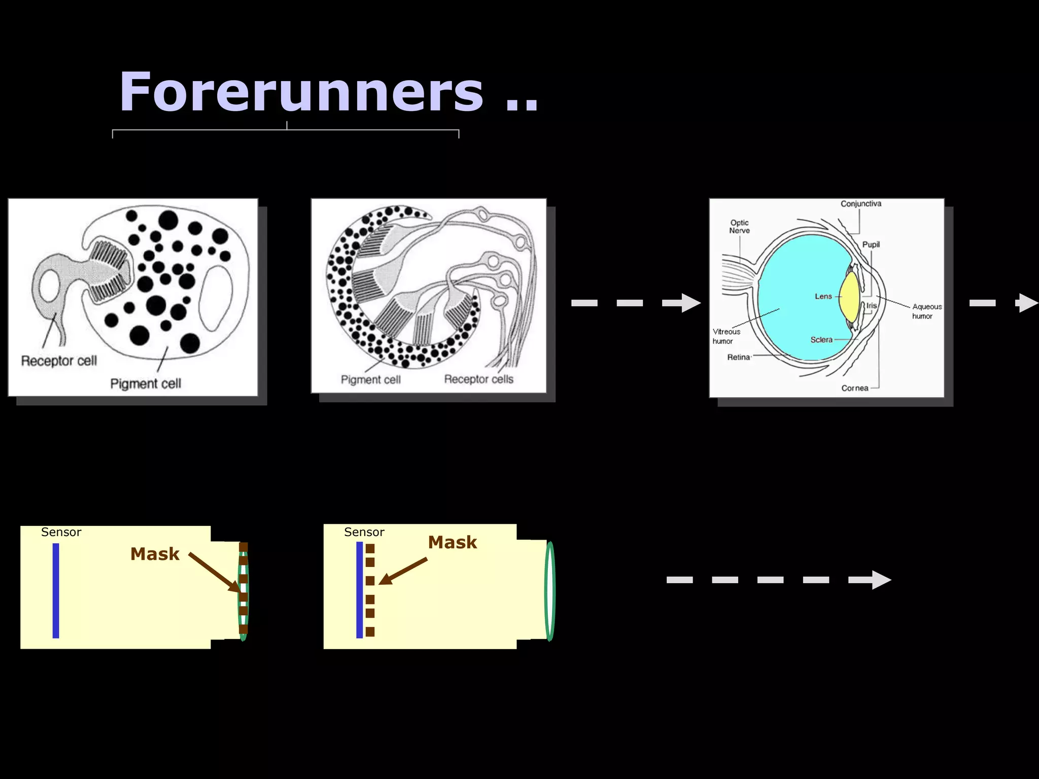 Forerunners .. Mask Sensor Mask Sensor 