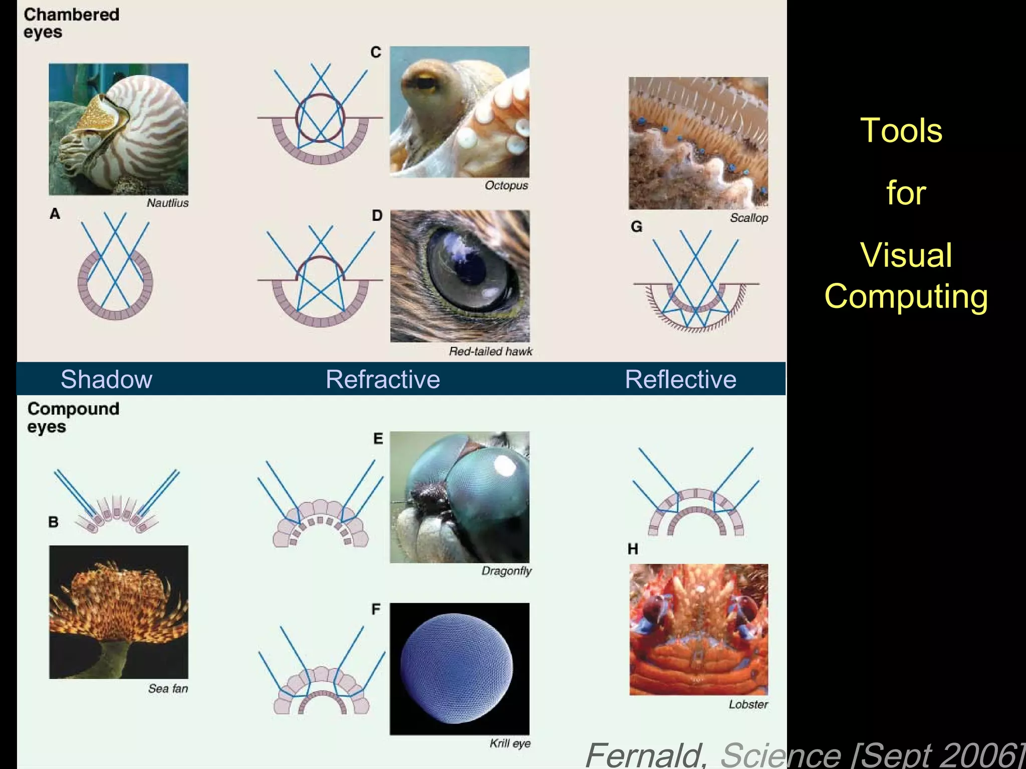 Fernald,  Science [Sept 2006] Shadow Refractive Reflective Tools  for Visual Computing 